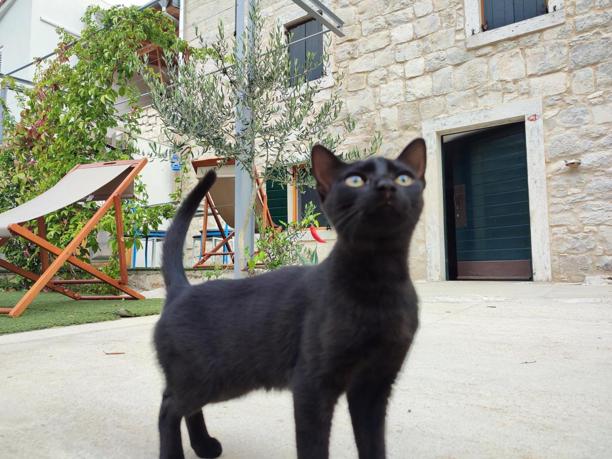 Apartmani Peljesac Sova Sreser Kültér fotó