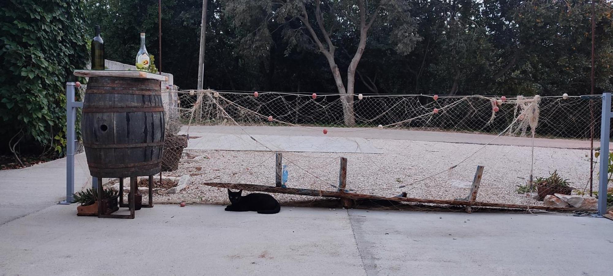 Apartmani Peljesac Sova Sreser Kültér fotó